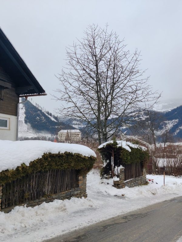 Müller Apartment Murau - Murau szállás, családi apartman és kiadó sí apartman